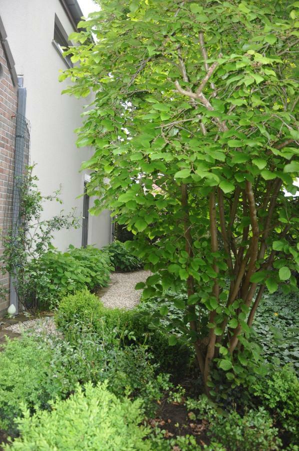 B&B De Logeur Asse Exterior foto
