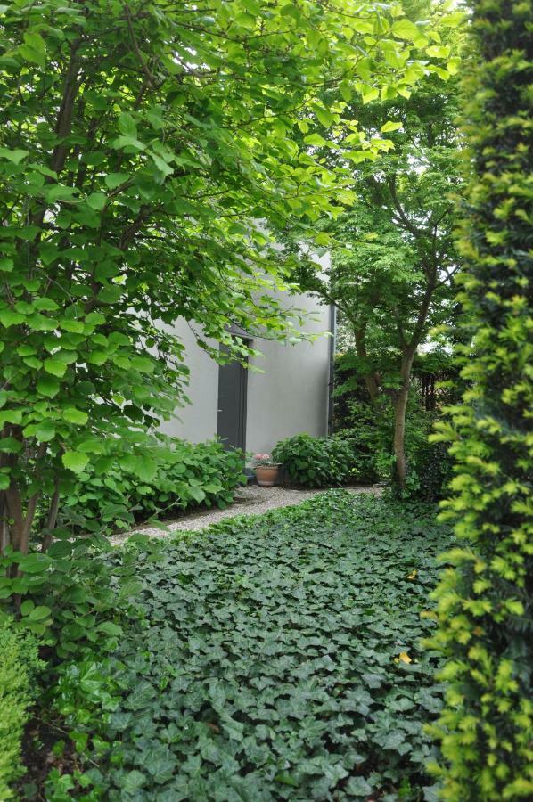 B&B De Logeur Asse Exterior foto
